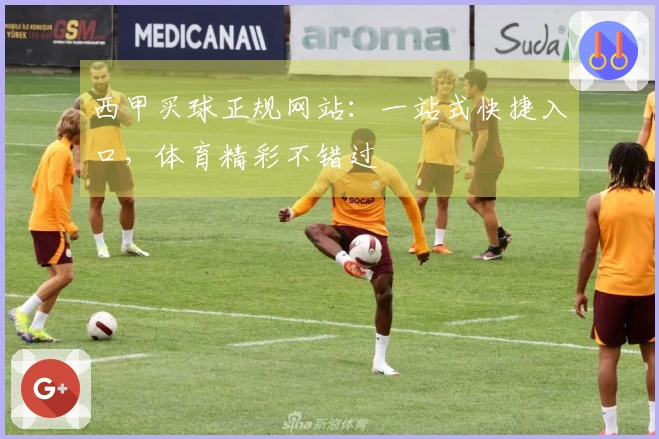 西甲买球正规网站：一站式快捷入口，体育精彩不错过